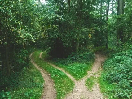 Your Inner Compass : Reflecting With The Wheel Of Life 5 Min