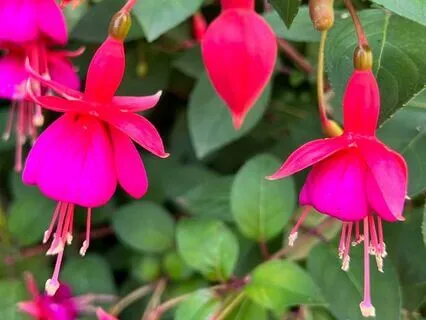 Your Inner Critic And Your Inner Guide