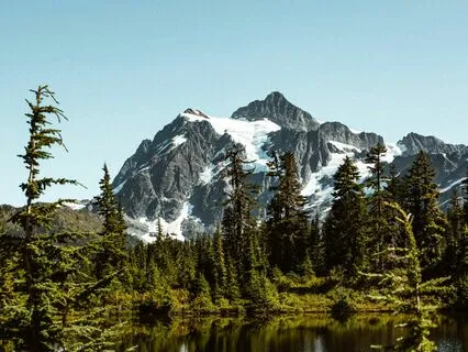 Your Inner Elder (Saturn In Pisces Astro Nidra)