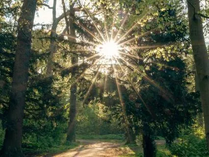 Your Inner Wellness Reset