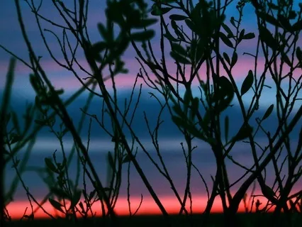 Your Intelligent Hearts SENSES