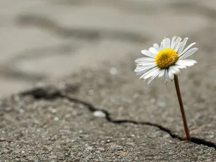 Your Intuitive Guidance Daily Practice