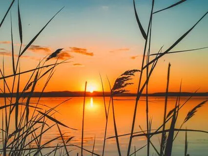 Your Last Moments: A Wake-Up Call To Truly Live