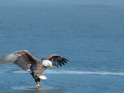 Your Life Force Is Intact: Reflections On Addiction