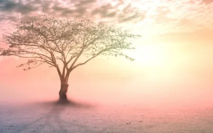 Your Life Is A Canvas: Meditation + Frequency Activation