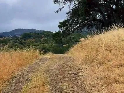 Your Life Path...Finding Meaning.