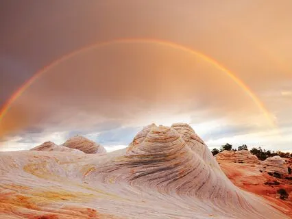 Your Life With Everything