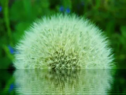 Your Light Body 1a - Your Energy Fields and Light Body