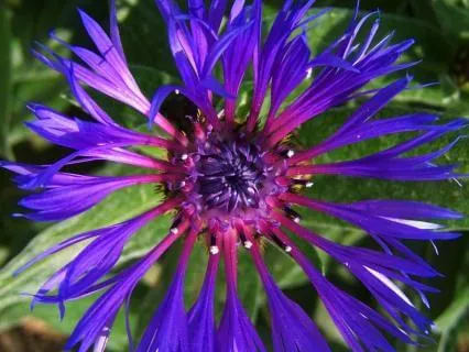 Your Light Body 5 - Aligning With Your Light Body