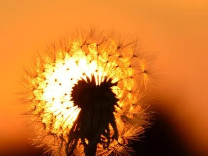 Your Light Body 6 - Light Body Activation Before Sleep