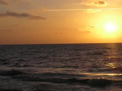 Your Light Body 7 - Sound Healing from your Divine Essence