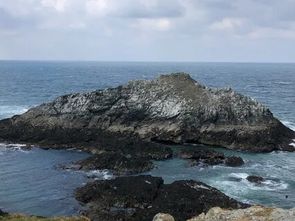 Your Meditation Journey #2: Quieting The Mind