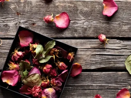 Your Moon Cycle Meditation