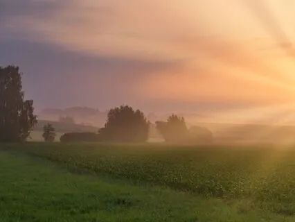 Your Morning Boost Of Love