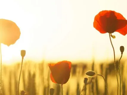 Your Morning Cheerleader: Pep Talk For Positive Energy