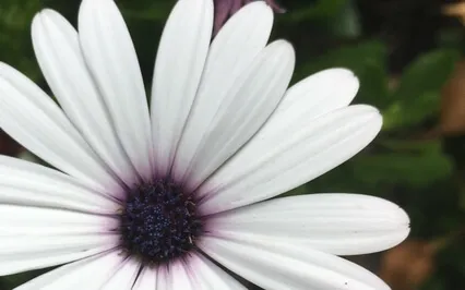 I Am Patient With Change