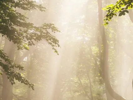 Your Morning Minute 21