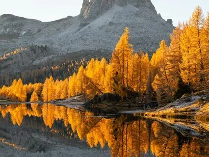 Your Morning Minute 23