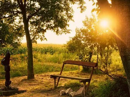 Your Morning Minute 8