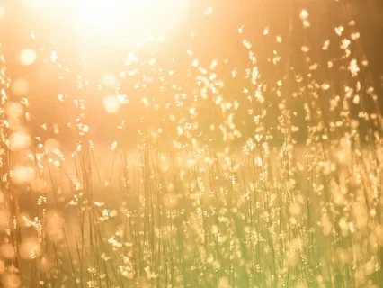 Your Most Golden Self Meditation