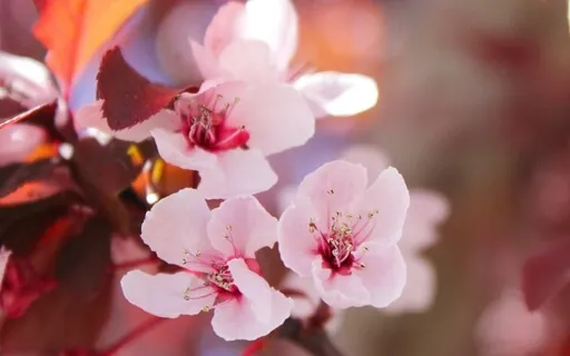 Your Nature Is To Love