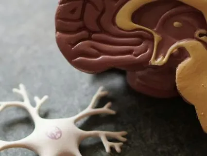 Your Nervous System Reset