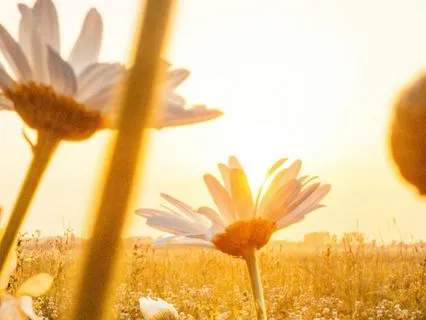 Pep Talk For New Beginnings And Finding Your Power