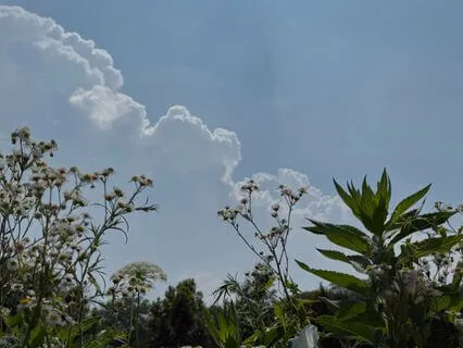 Your New Morning Routine