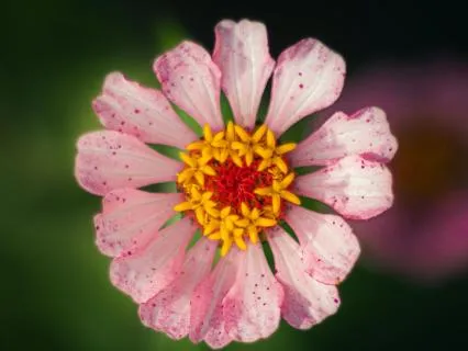 Your New Year Reflection (Birthday Or New Year)