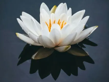 Your Nightly Sleep Meditation ~ (8.5 Hour Version)