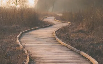 Your Own Journey to Let Go