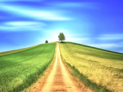 Your own path (Valse No9) Ton chemin à toi