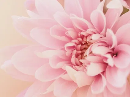 Your Past Does Not Define You