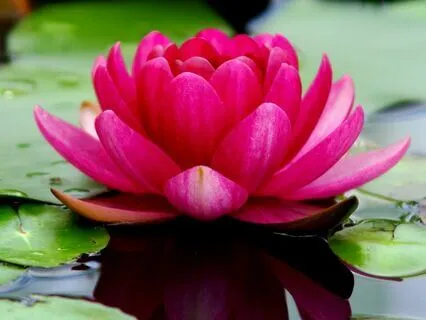 Your Peaceful Interlude