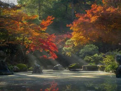Your Peaceful Place