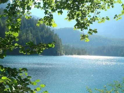 Your Peaceful Poetry Reading For Sleep And Anxiety Relief