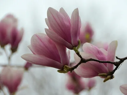 Your Personal Journey Of Change 