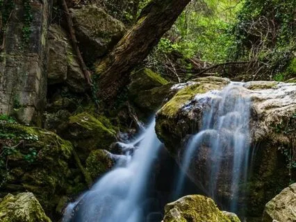 Your Personal Practice