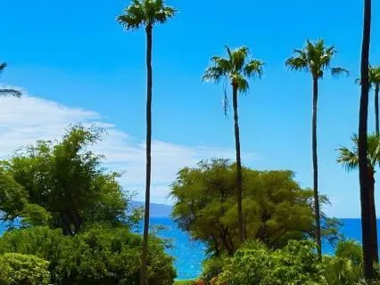 Your Pleasure Matters