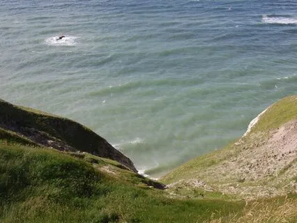 Your Poetic Self - A New Moon Meditation For Autumn