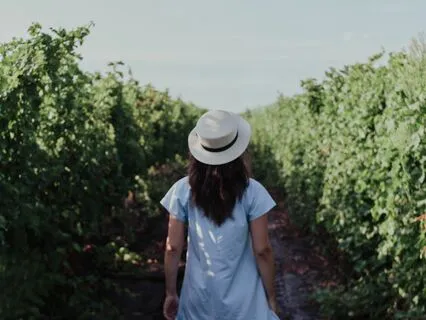 "YOUR POWERFUL BELIEFS"