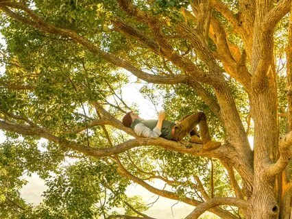 Your Presence Is Unchanging