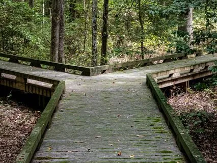 Your Questions Answered: How To Make The best Decisions