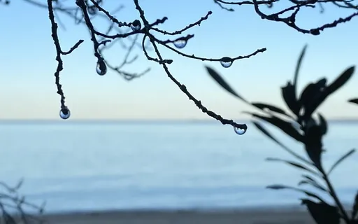 Your Quiet Place Meditation (For Kids & Adults)