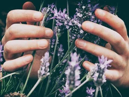 Your Reiki Healing Session