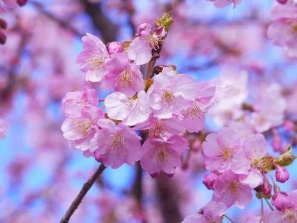 Your Reiki Journey  - Touching Source