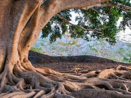 Your Relationship Blueprint Meditation