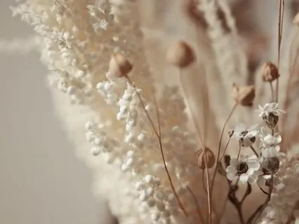 Your Relationship Is Not With Money