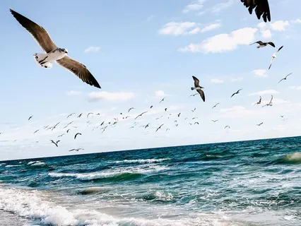 Your Right To Wave Your Fist Ends Where My Face Begins