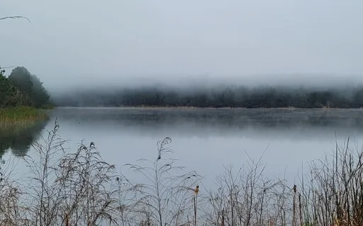 Your Ripple, How Far Does Your Ripple Really Go